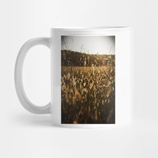 Field in fall sunset Mug